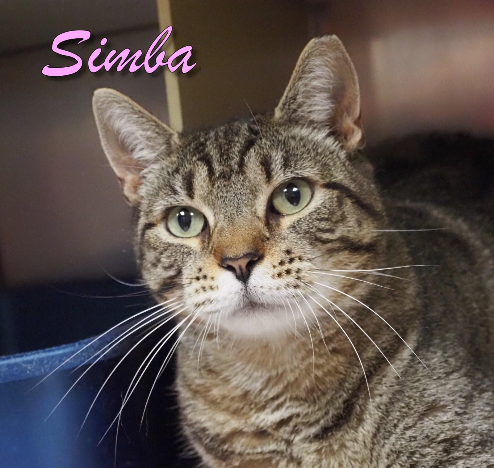 Simba