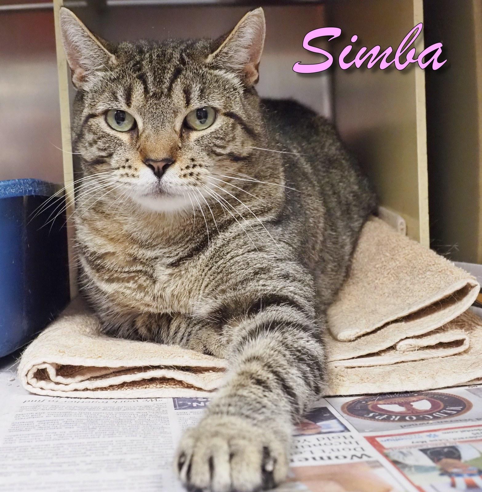 Simba