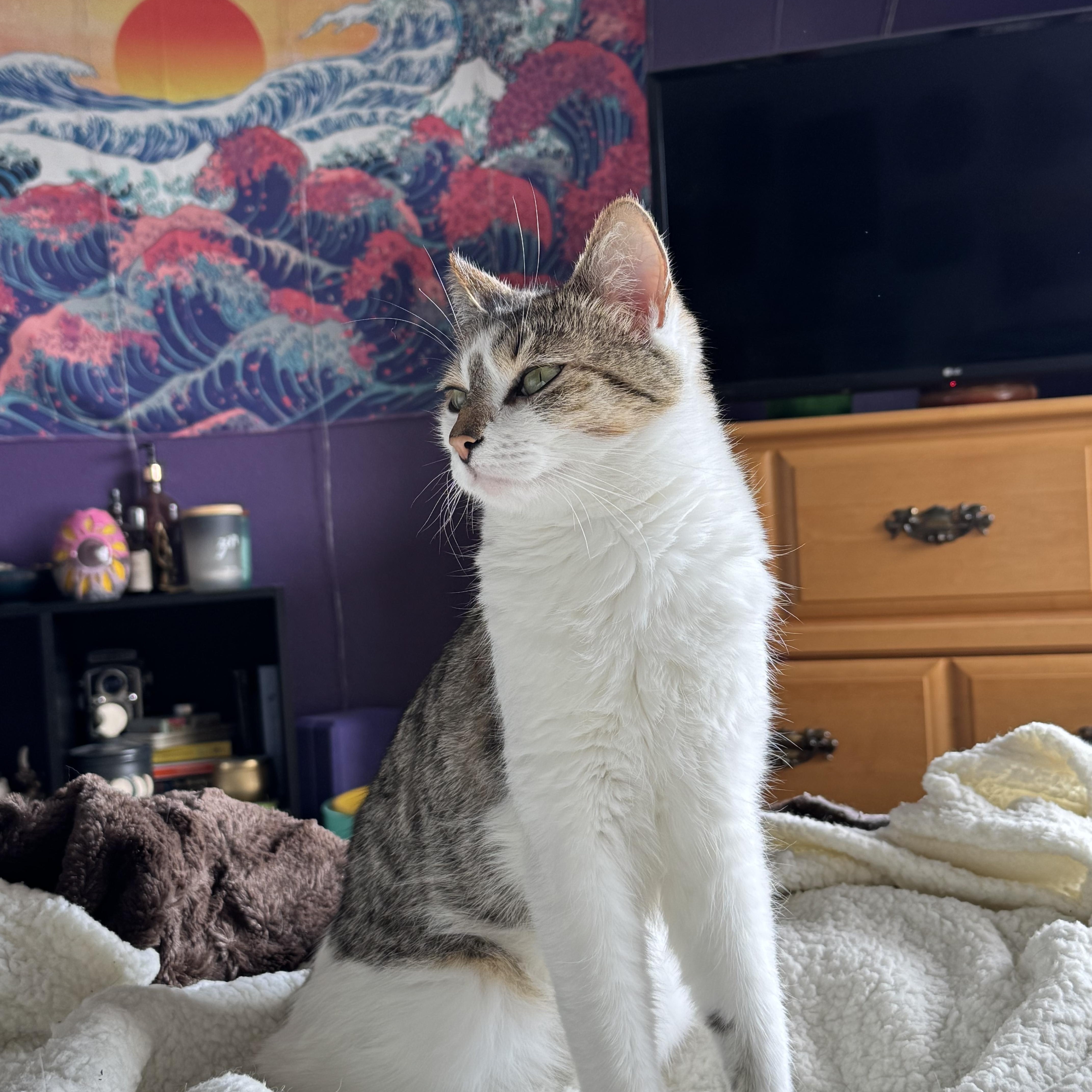 Lily photo 5