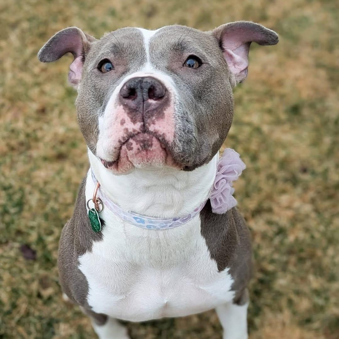 Mama Matilda