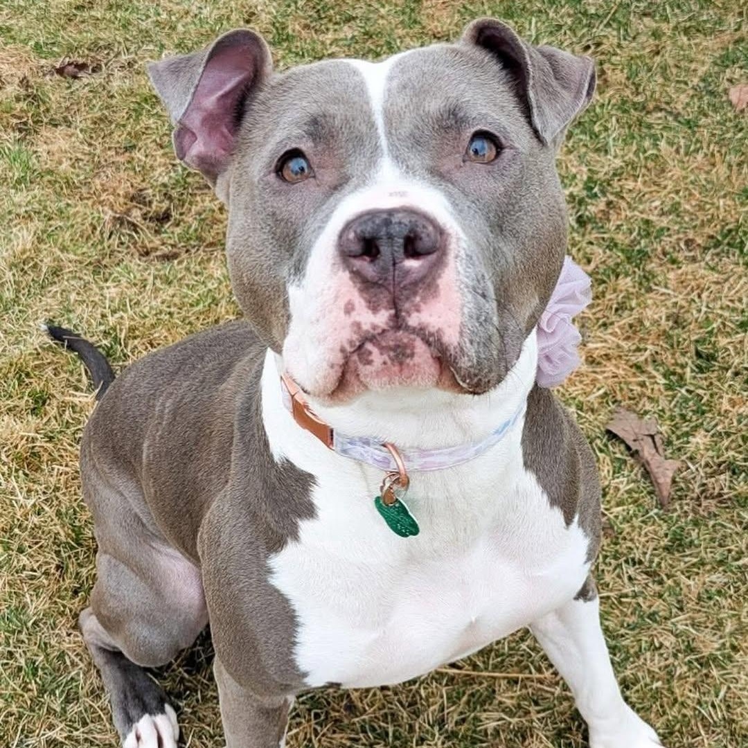Mama Matilda
