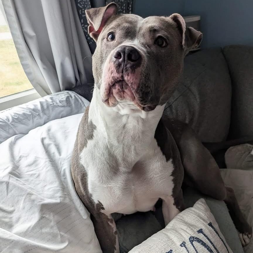 Mama Matilda