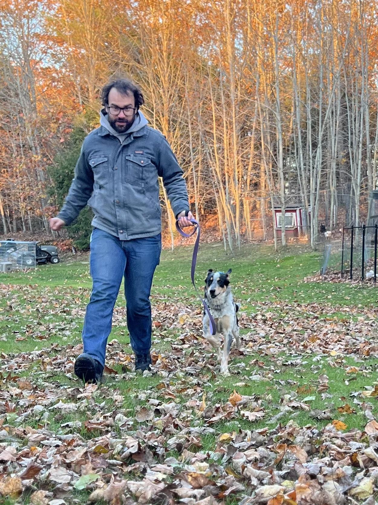 Brodie, an adoptable Mixed Breed in Bowdoin, ME image 2/6