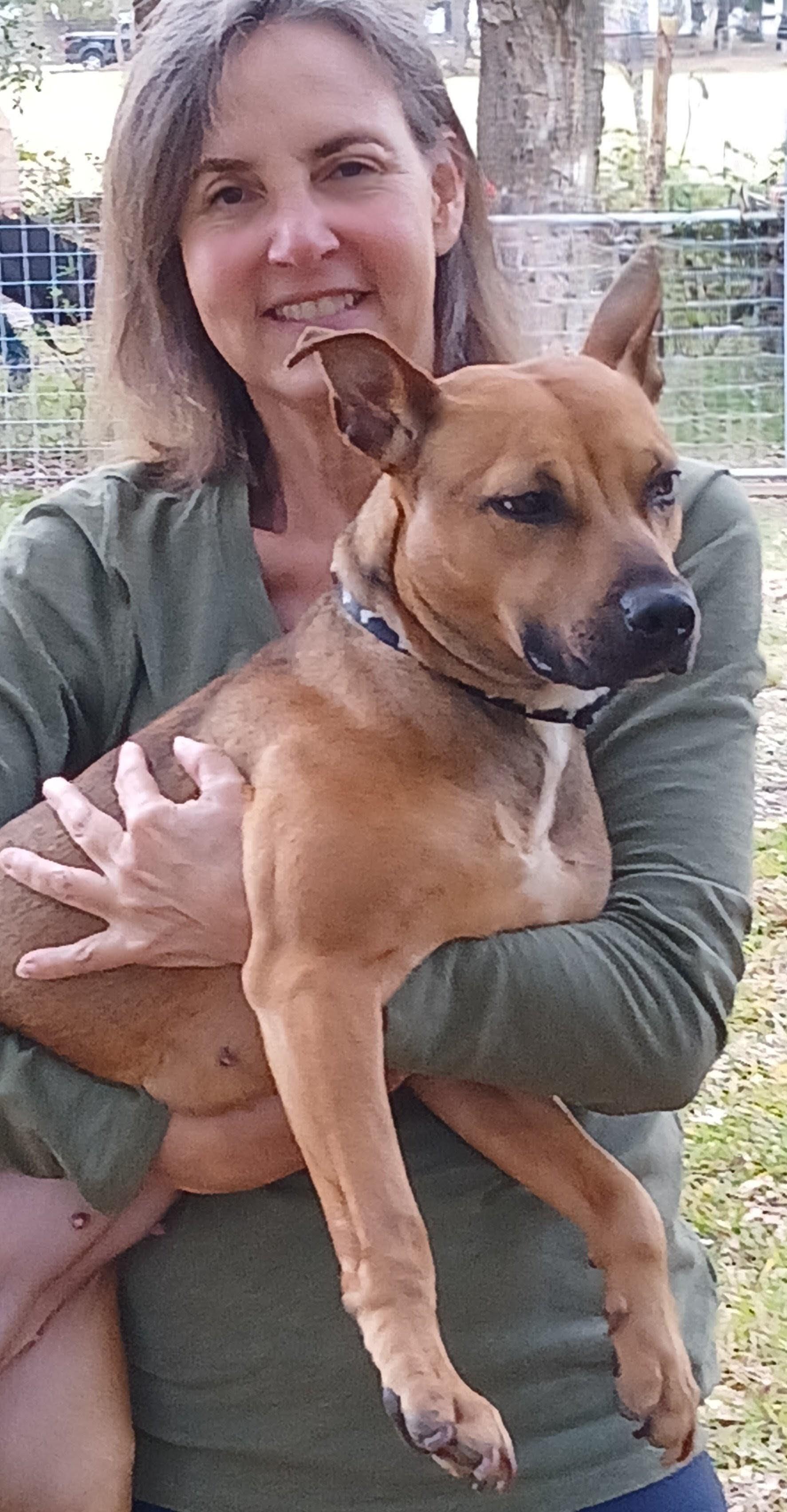 Addison , a Adoptable mixed breed in Albany, NY image 4/6