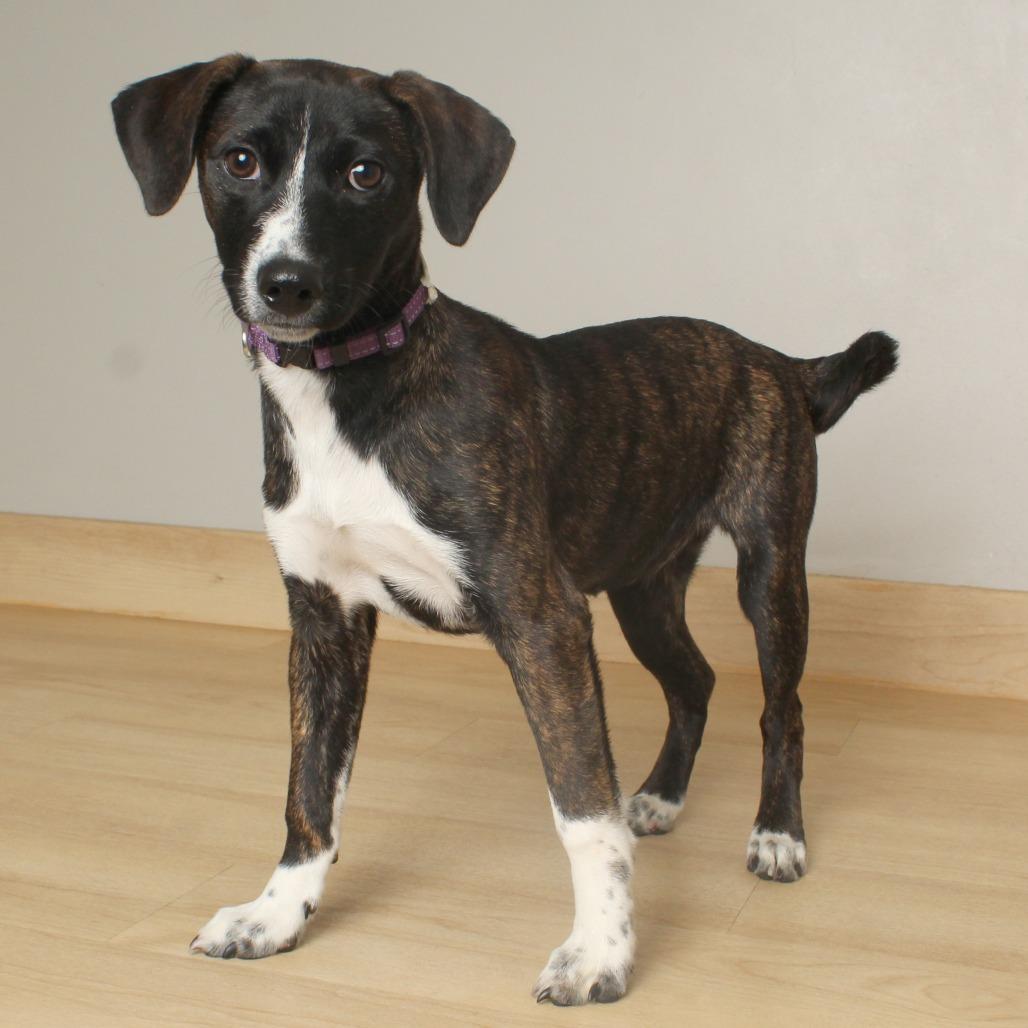 Shirley D thumbnail 2