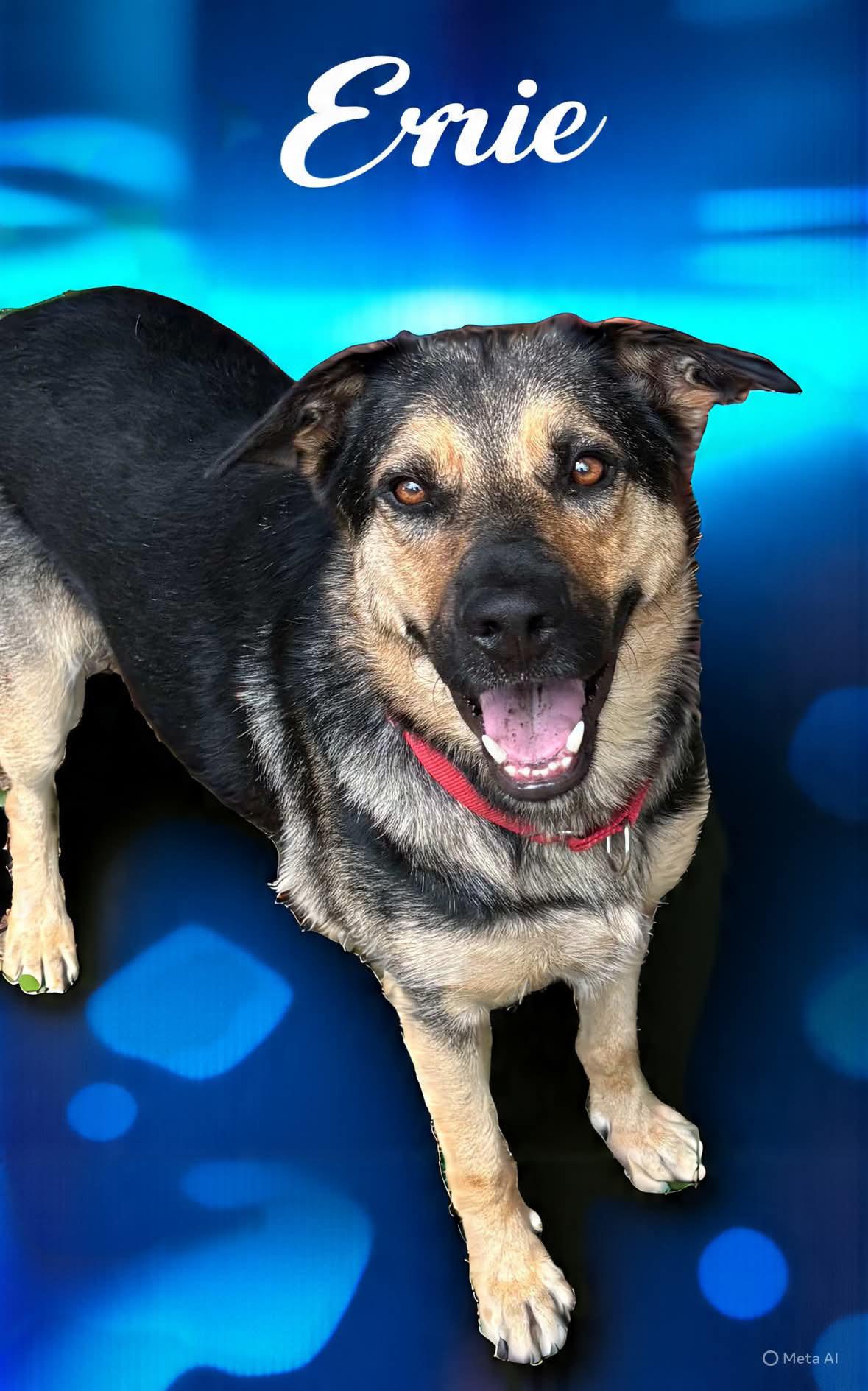 Ernie 2