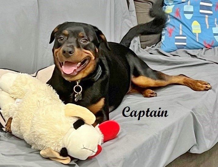 Captain