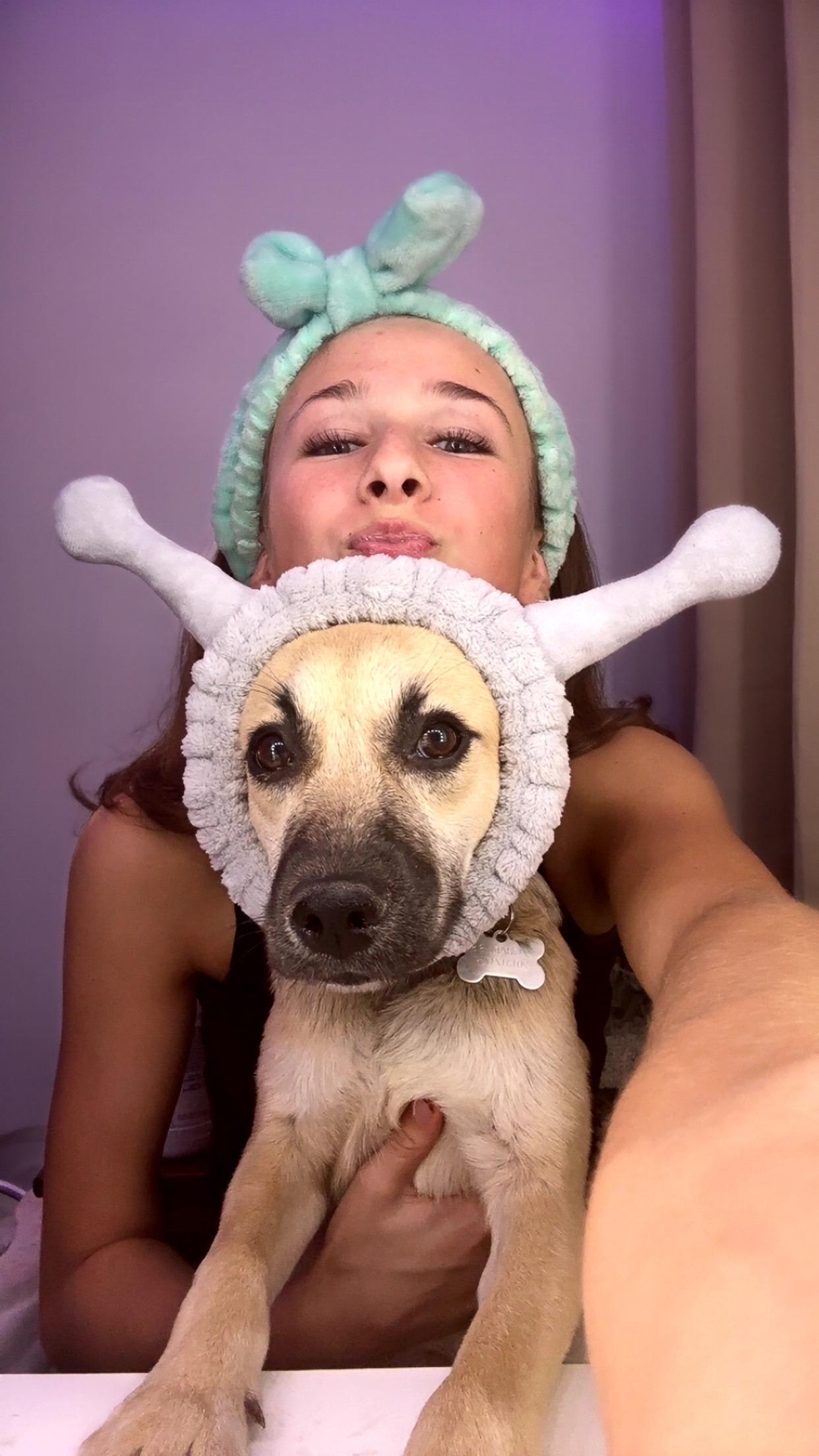 Jessie has been Adopted!, a Adopted mixed breed in Randolph, NJ image 2/6