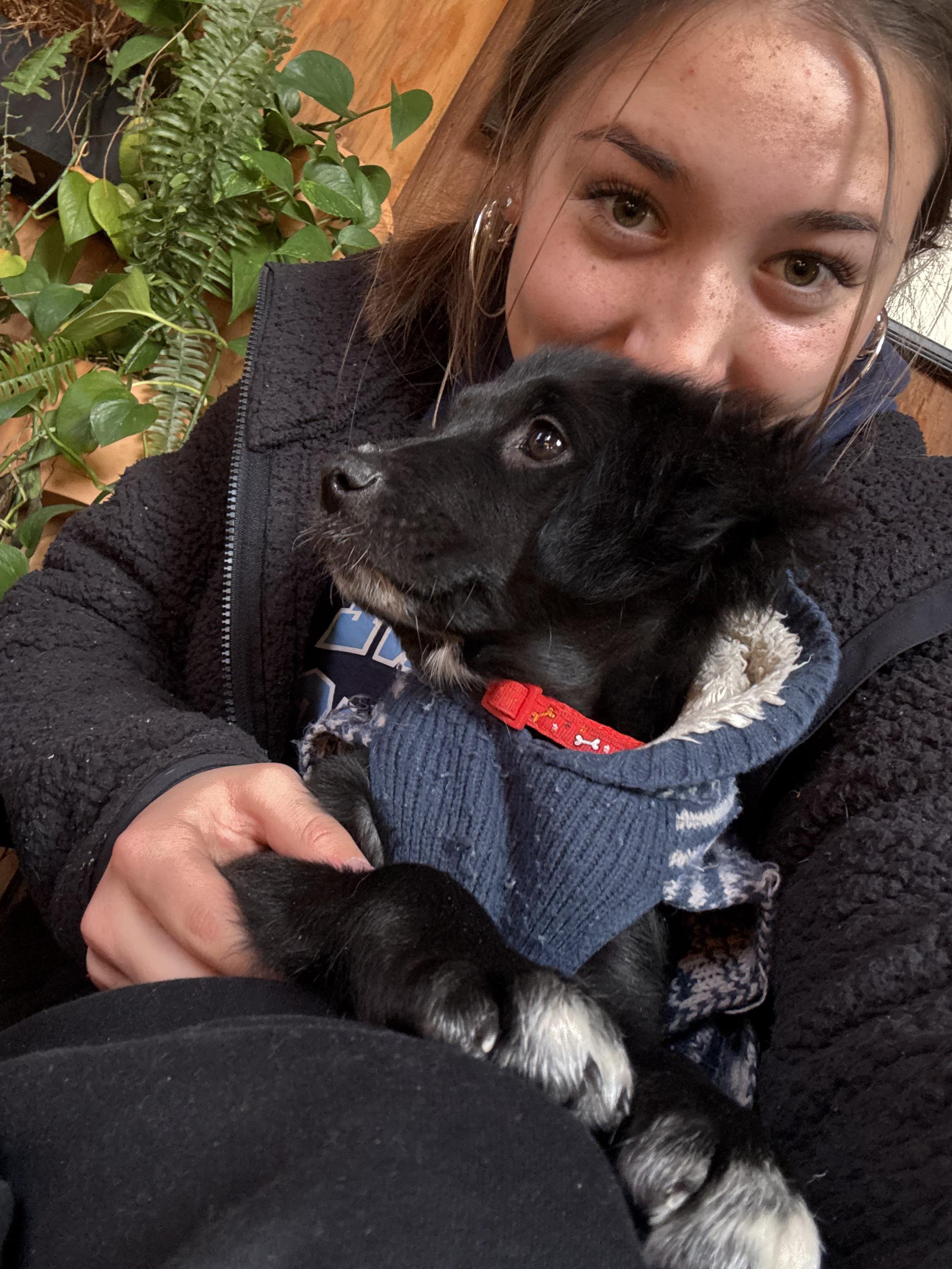 Enlarge Jada , an adopted mixed breed in New York, NY image 5/5