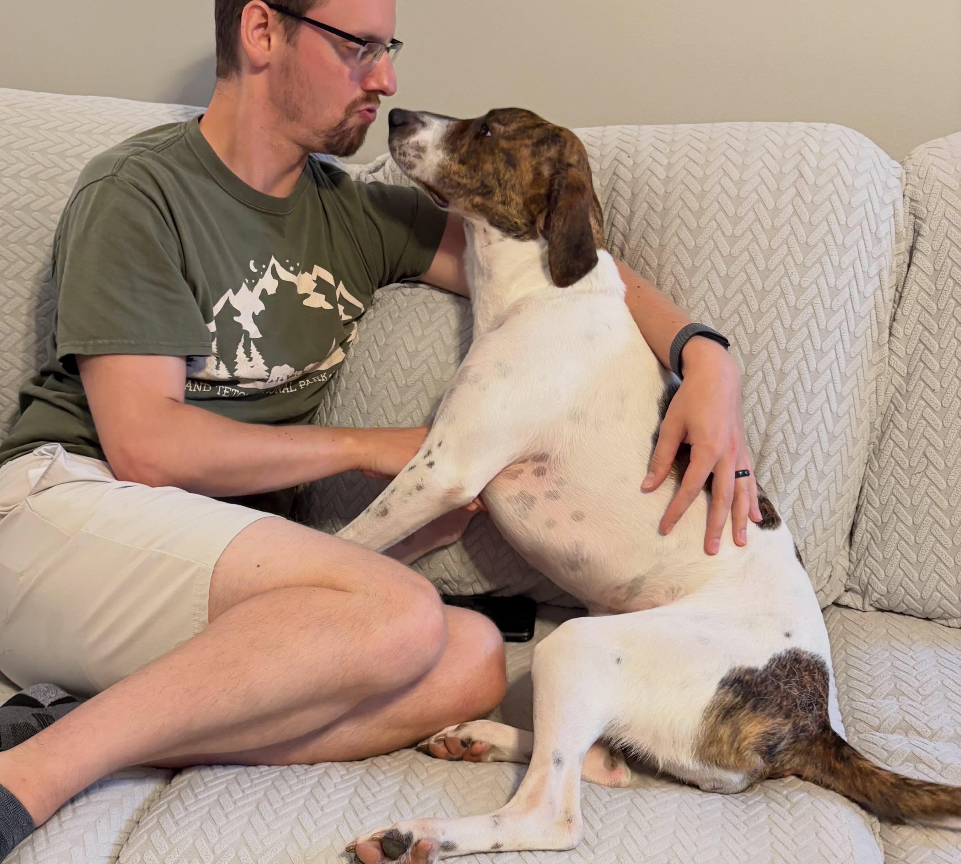 Enlarge Jamey, a Adoptable mixed breed in Raleigh, NC image 3/6