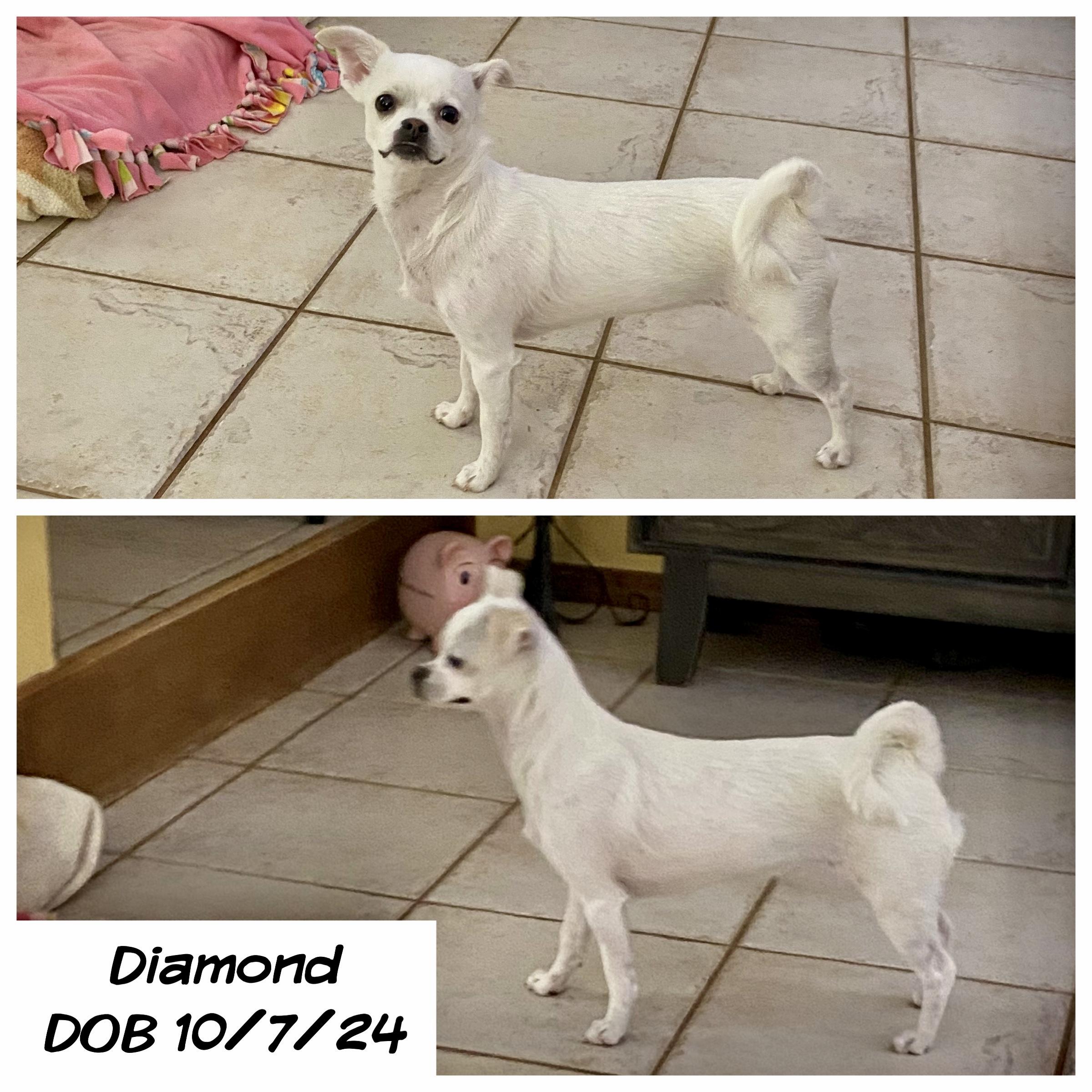 Diamond