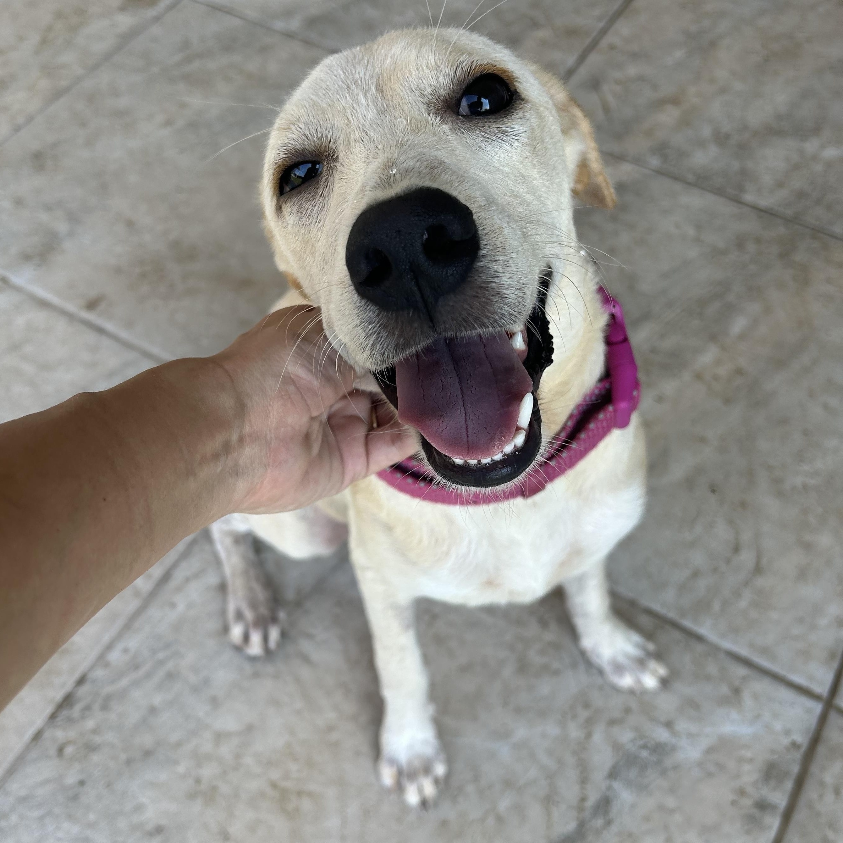 Margaret thumbnail 3