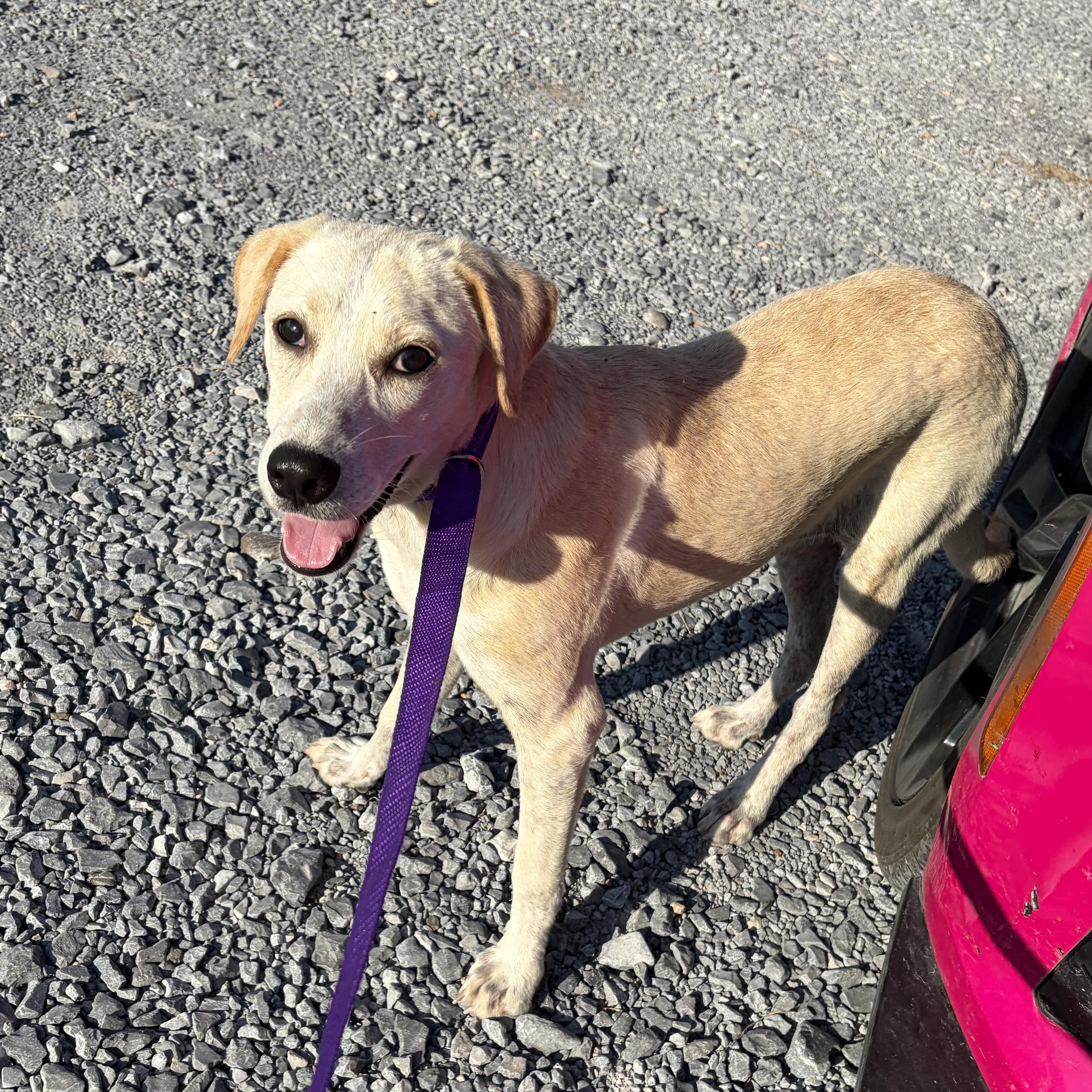 Margaret thumbnail 2