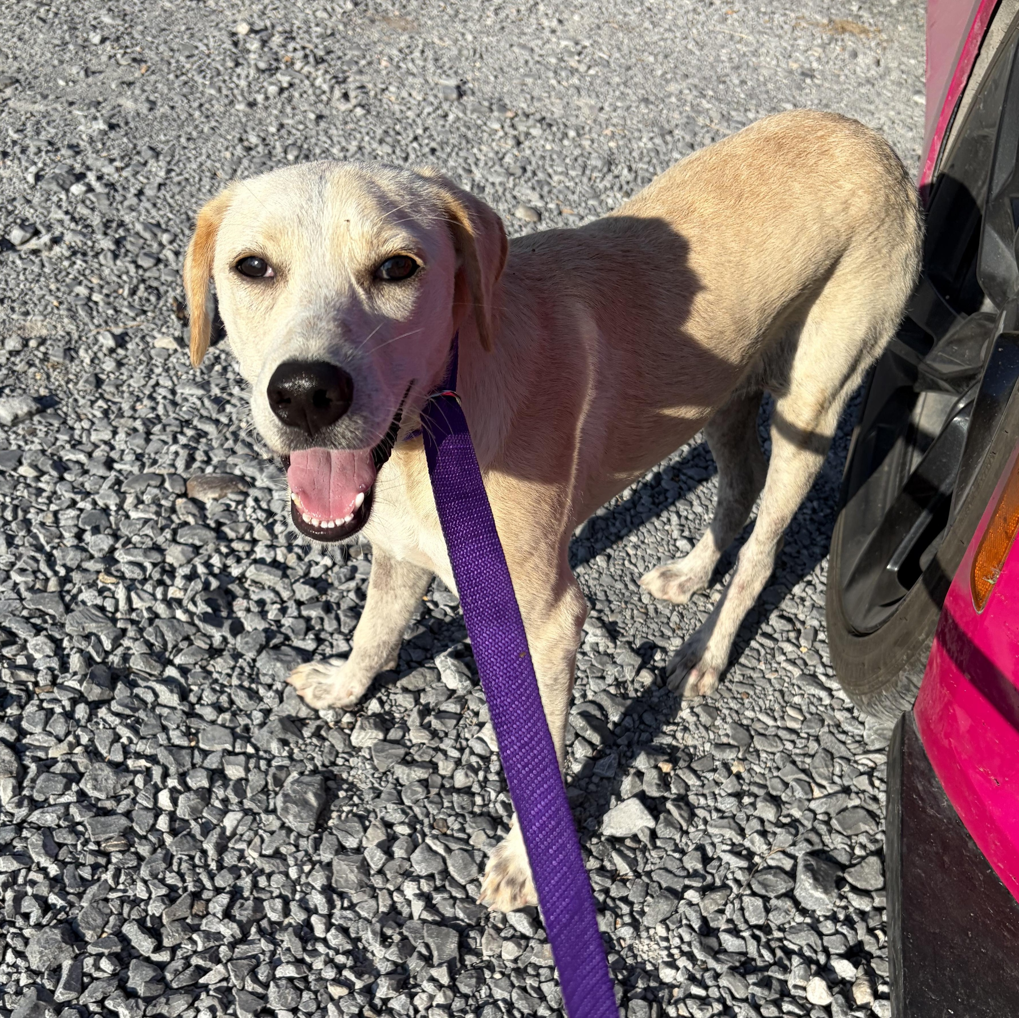 Margaret thumbnail 5