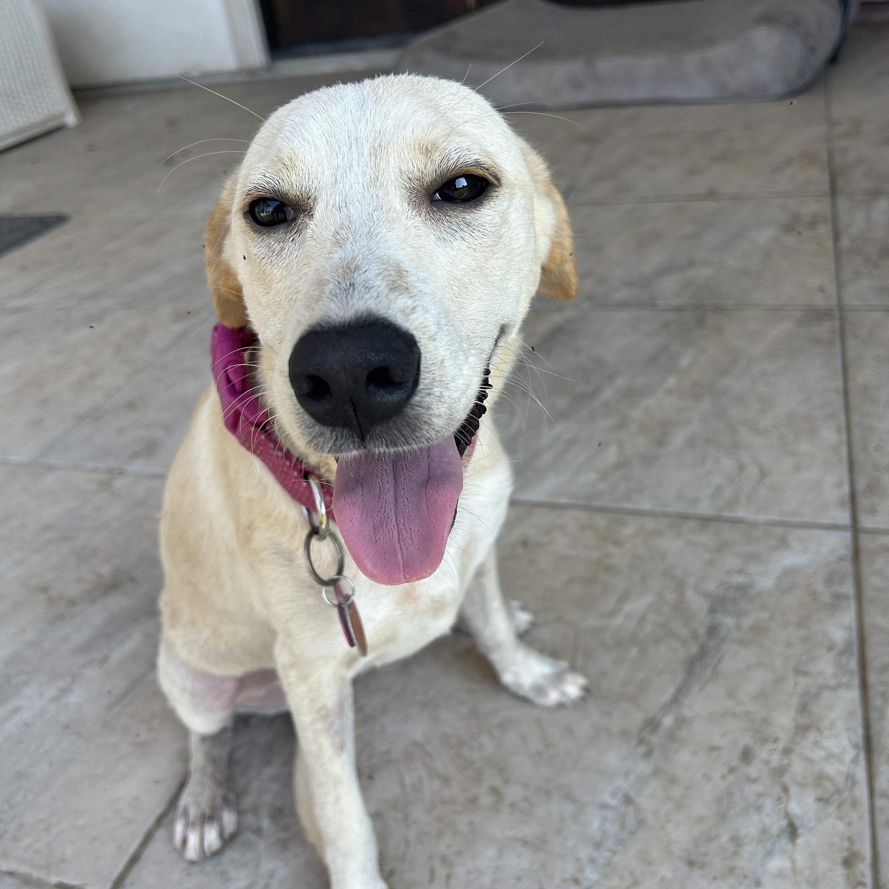 Margaret thumbnail 4