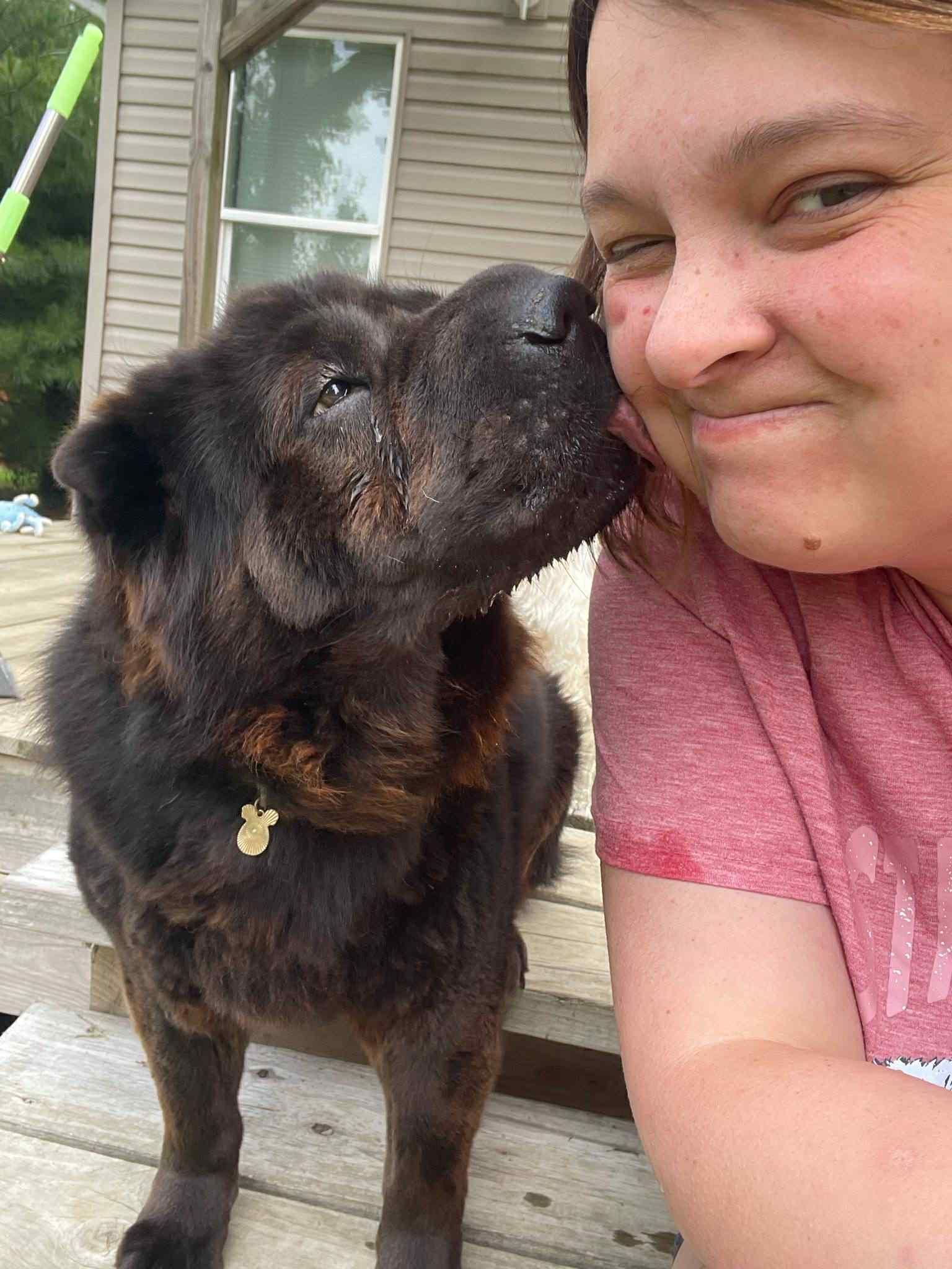 Myah, a Adoptable mixed breed in Indianapolis, IN image 2/6