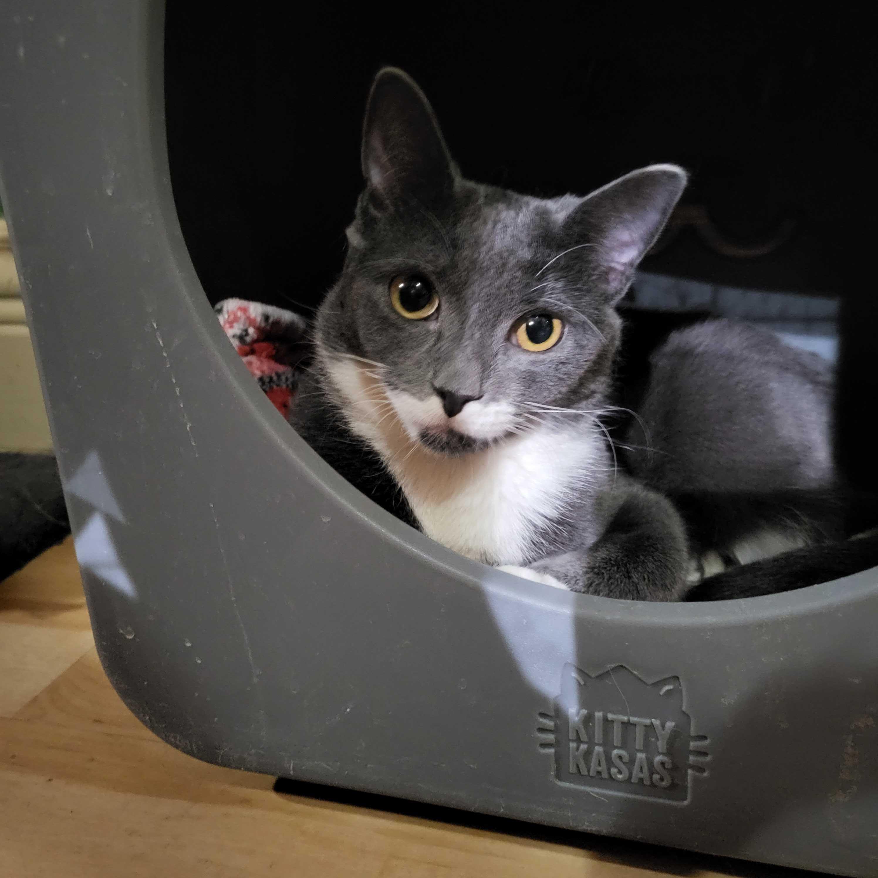 Kelce (bonded to Creed)