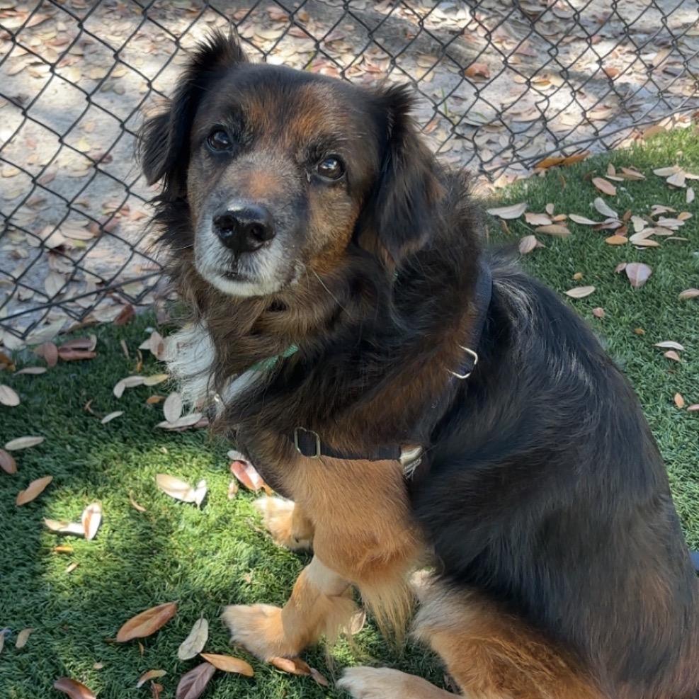 Kermit — thumbnail 2