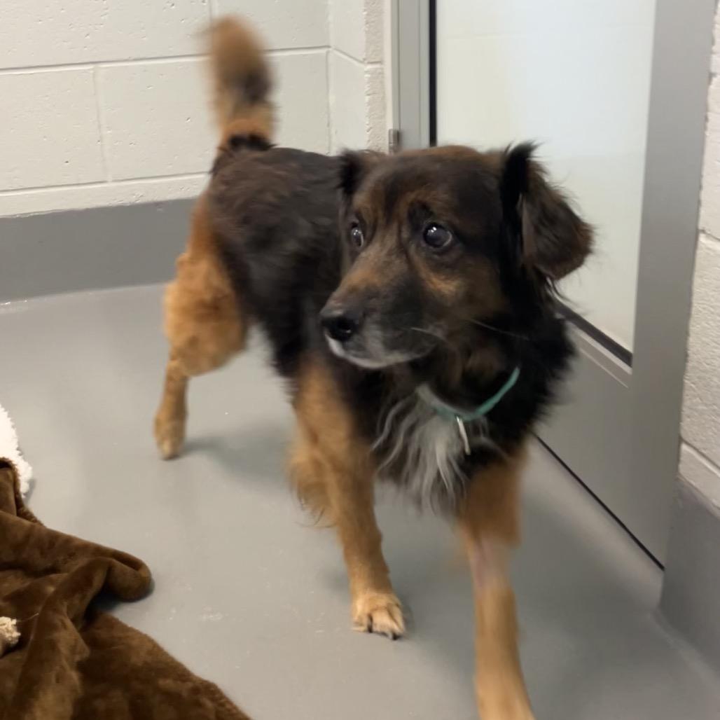 Kermit — thumbnail 3