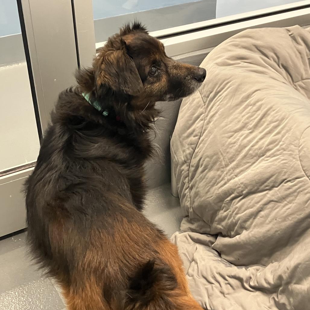 Kermit — thumbnail 5