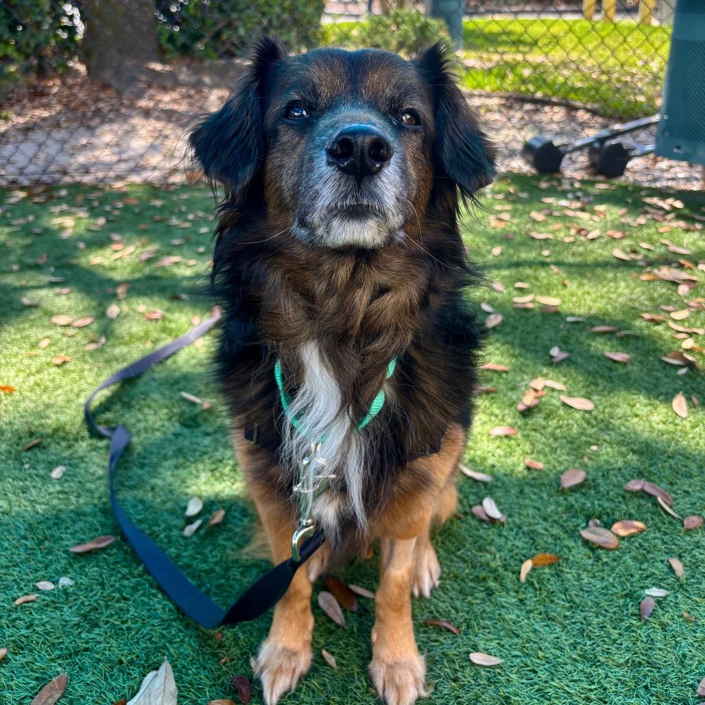 Kermit — thumbnail 6