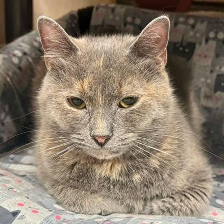 Florence – A Gentle Soul Ready to Begin Again