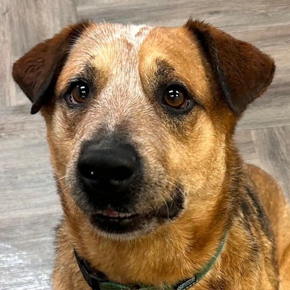 Tucker