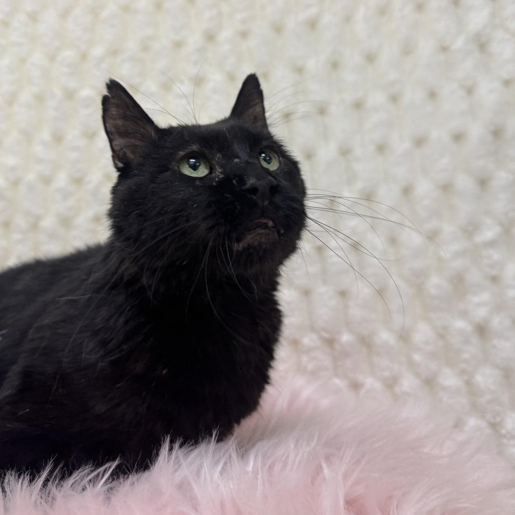 Bruce — thumbnail 2