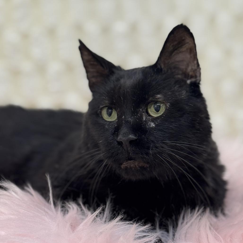 Bruce — thumbnail 3