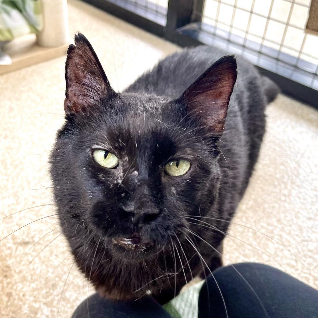 Bruce — thumbnail 4