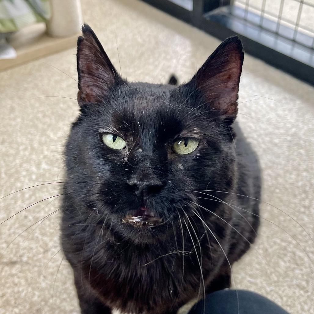 Bruce — thumbnail 5