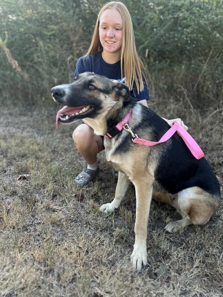 Enlarge Trixie from Wortham, a Adoptable mixed breed in Denver, CO image 3/6