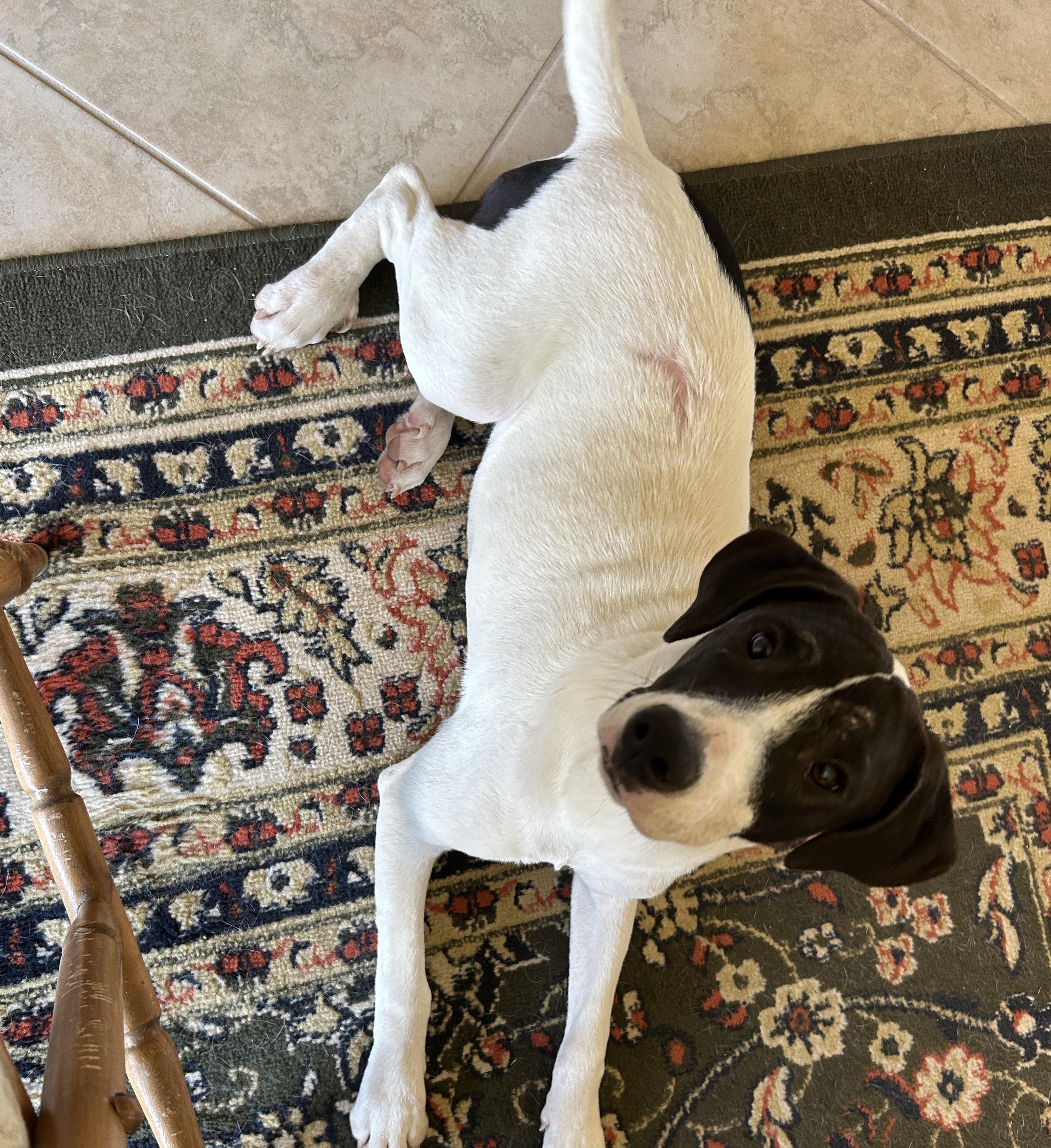 Inka — thumbnail 3