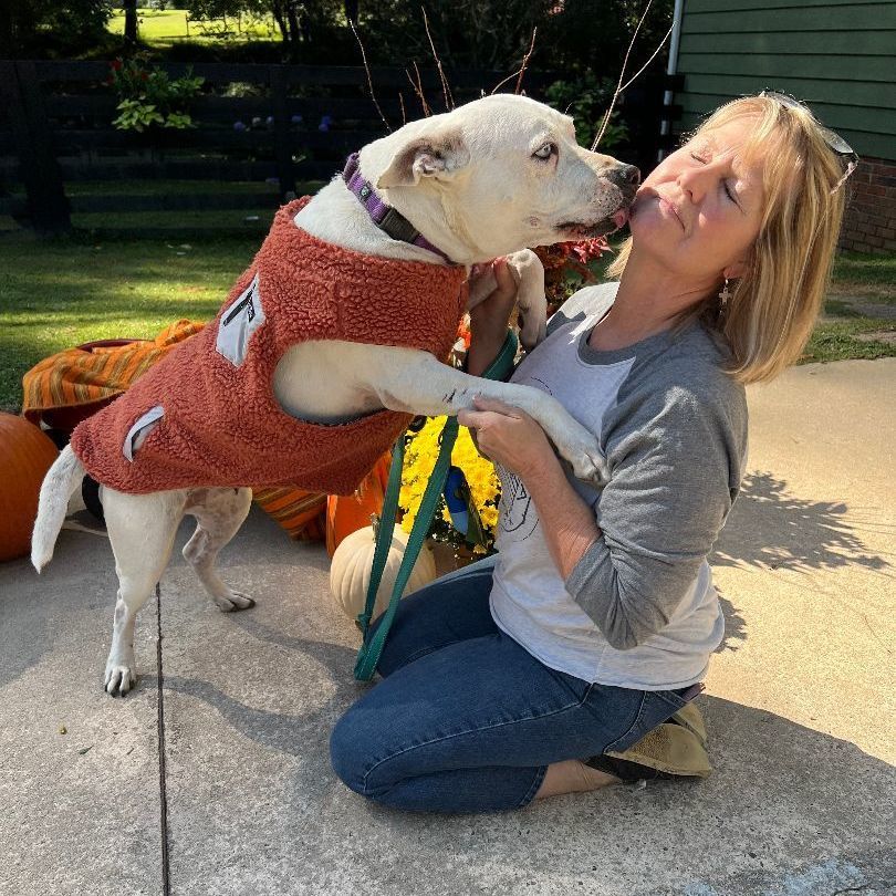 Enlarge Anastasia, a Adoptable mixed breed in Cumming, GA image 4/6