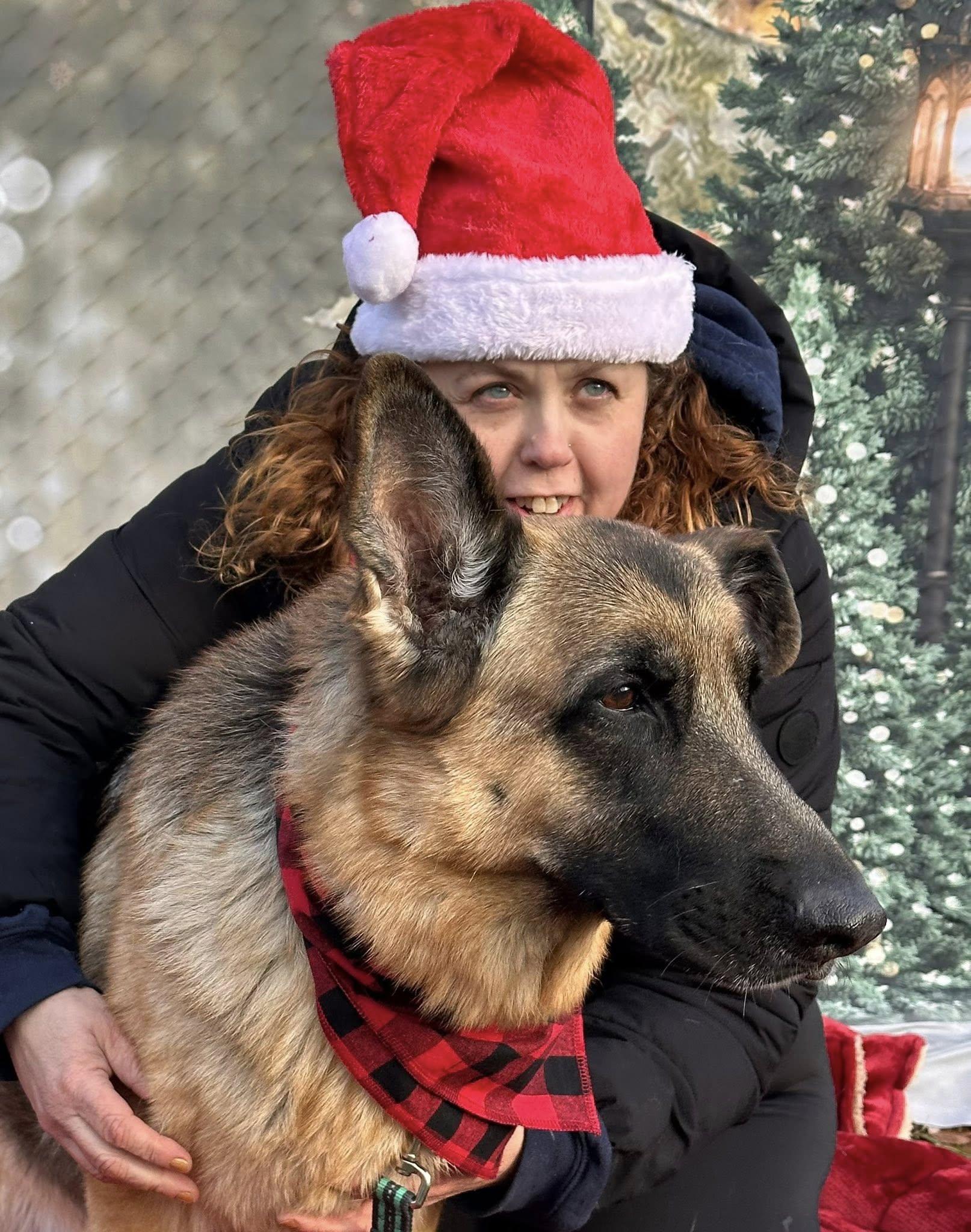 Jackie, Adoptable, Senior Female German Shepherd Dog.