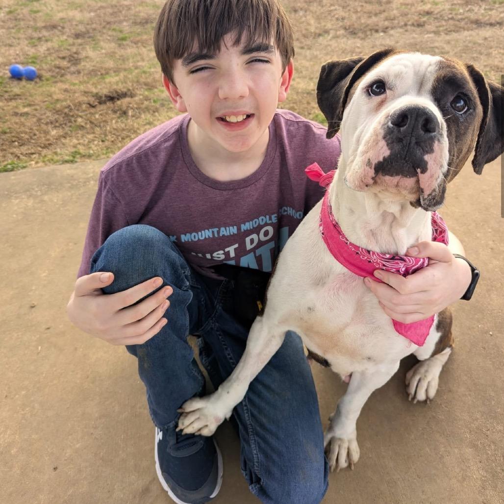 Enlarge Janie (Adoption Fee - Sponsored!)In Foster, a Adoptable Mixed Breed in Alabaster, AL image 6/6