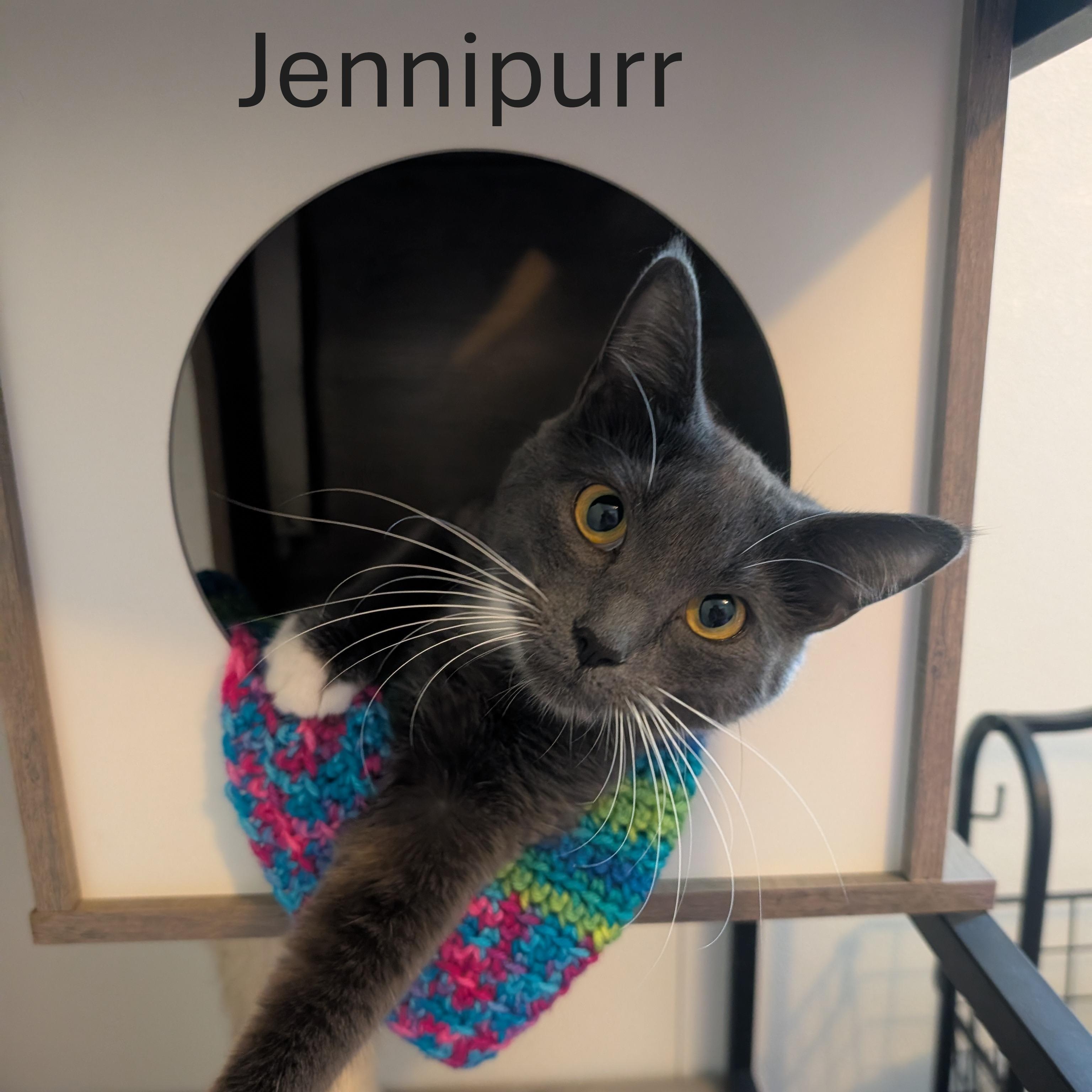 Jennipurr