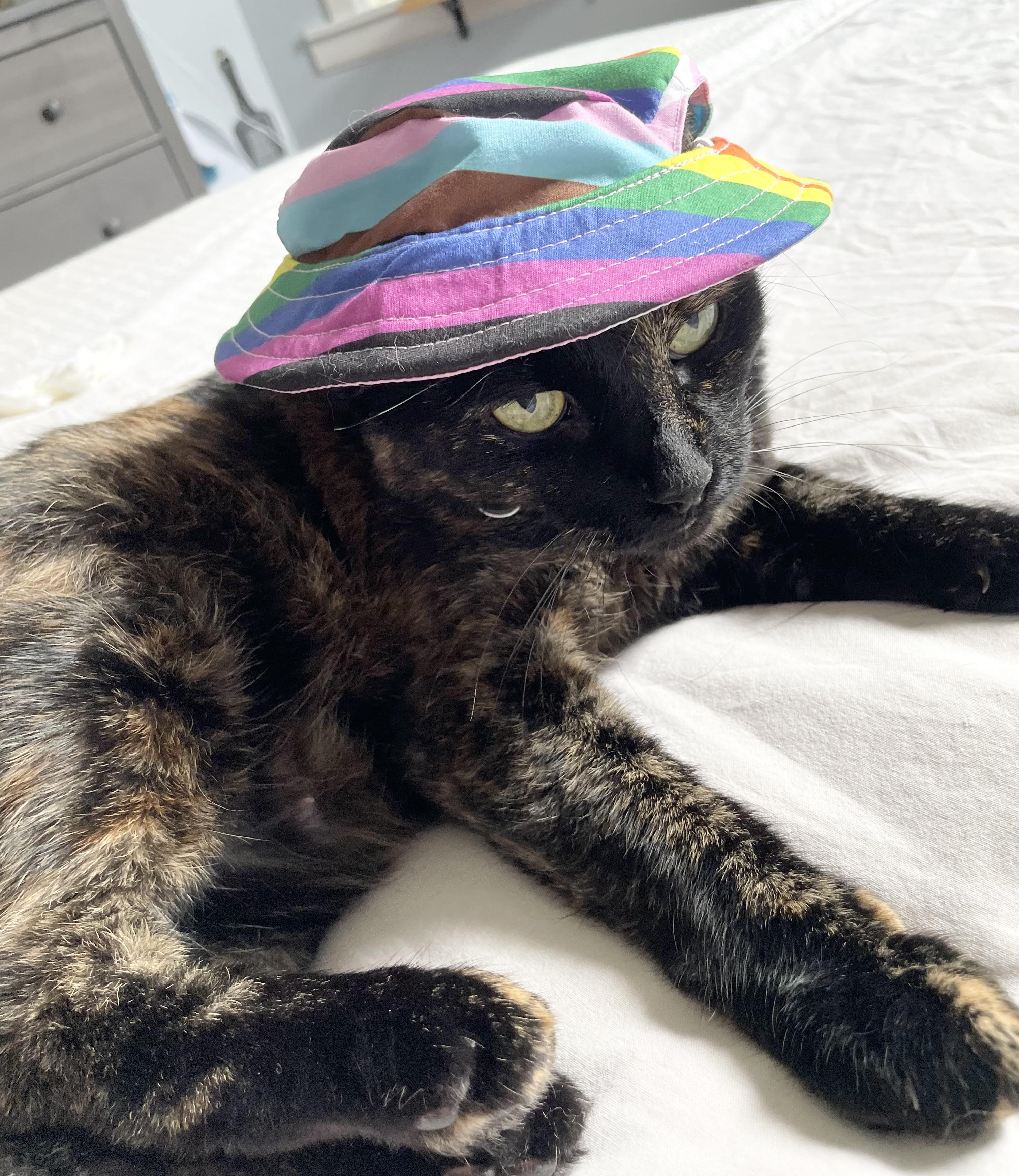 Miss Kitty, a Adoptable Tortoiseshell in New York, NY image 3/6