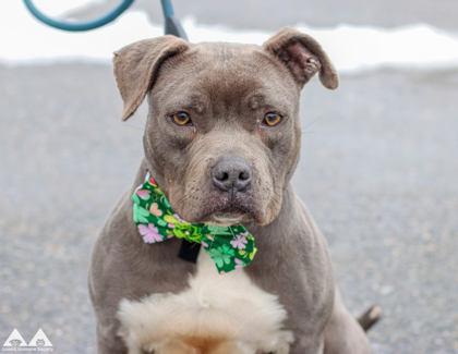 Andi — thumbnail 2