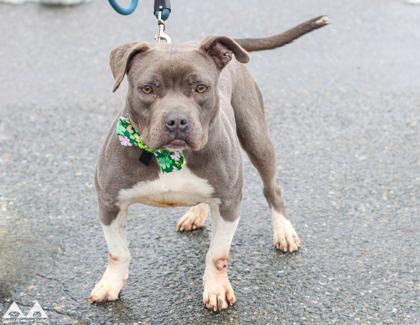 Andi — thumbnail 3