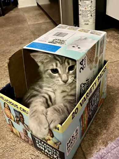 Max Steel  Willow thumbnail 3