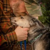 Enlarge Itsy, a Adoptable mixed breed in Tillamook, OR image 3/5