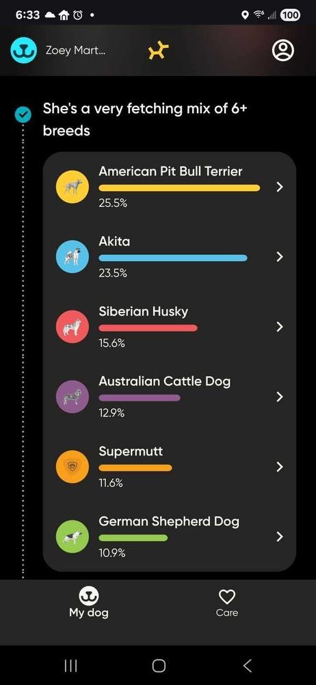 Zoey Martha, a Adoptable mixed breed in Sealy, TX image 3/6