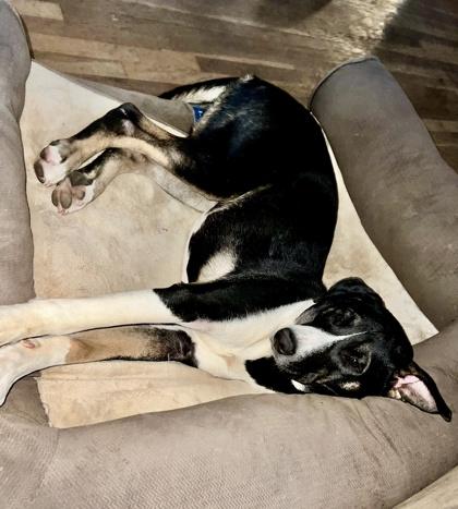 Katie — thumbnail 2