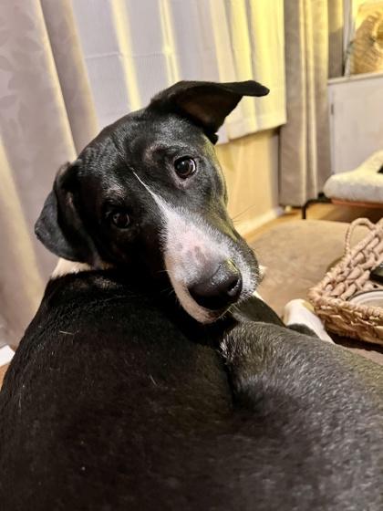 Katie — thumbnail 3