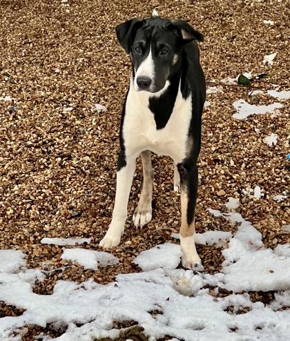 Katie — thumbnail 6