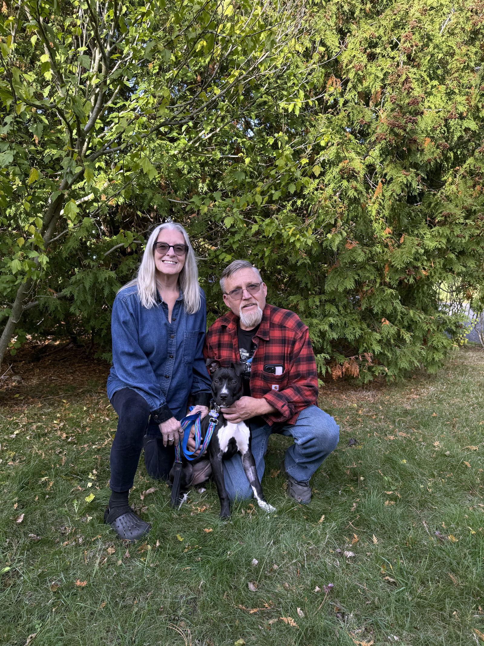 Pie, a Adopted Pit Bull Terrier in Framingham, MA image 3/3