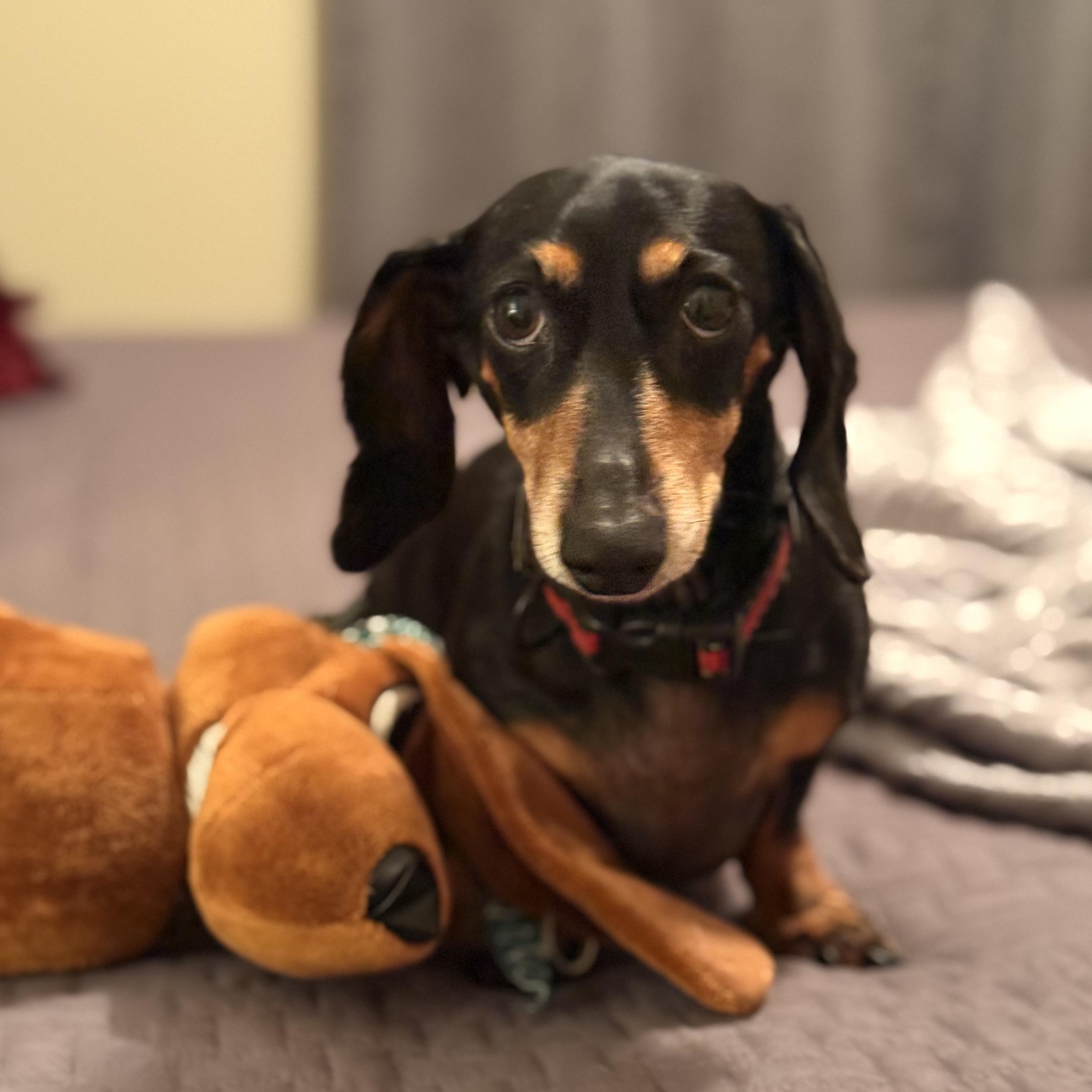 Maggie