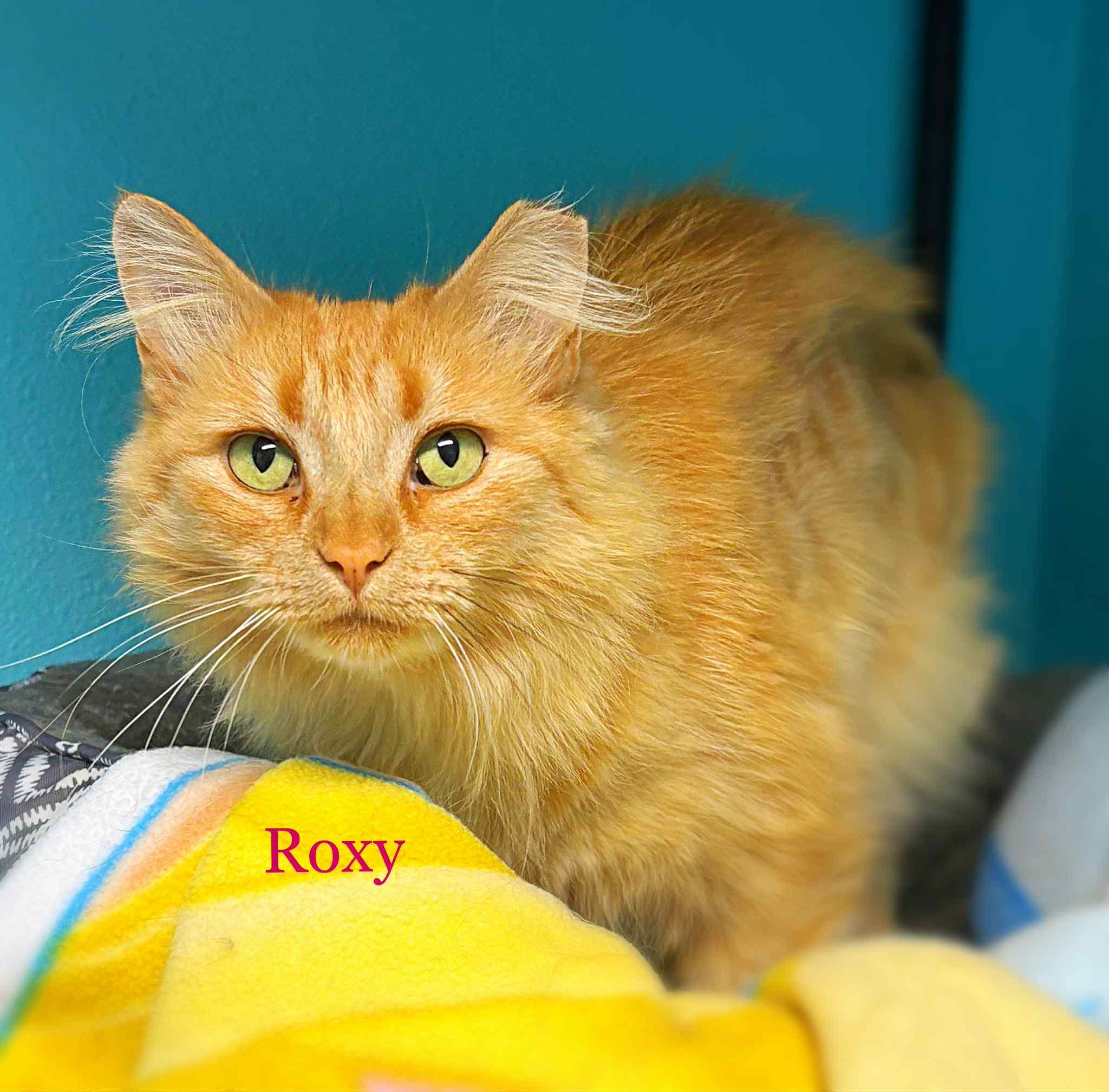 Roxy