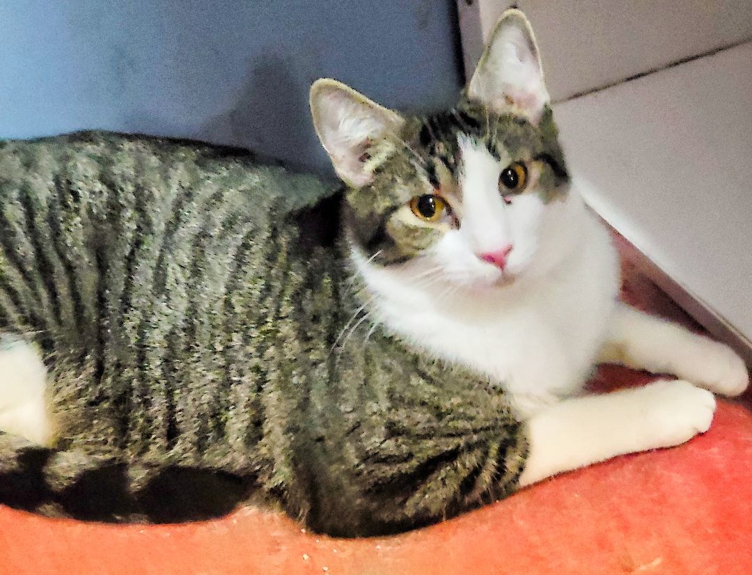 Cheers Norm thumbnail 2